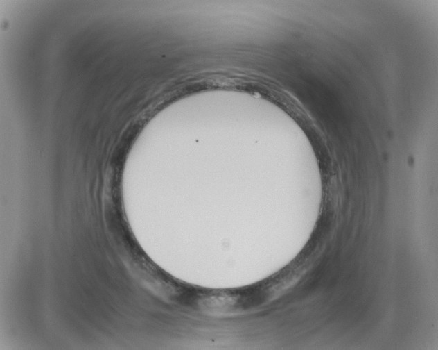 X0000086040217200704202019