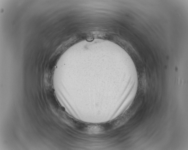 X0000086040218200704202019