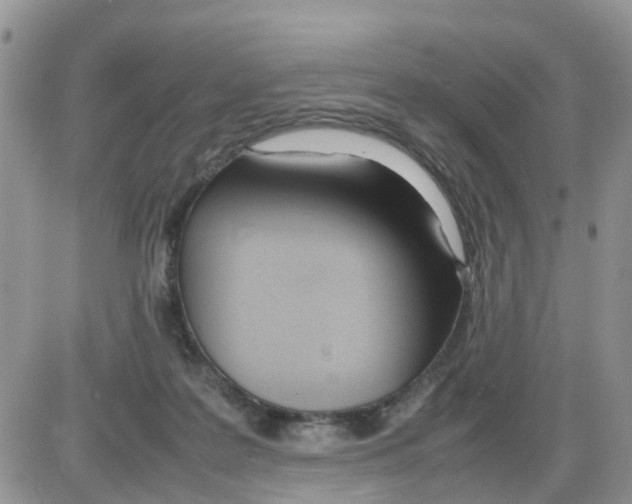 X0000086040219200704202019