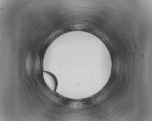 X0000086040220200704202019