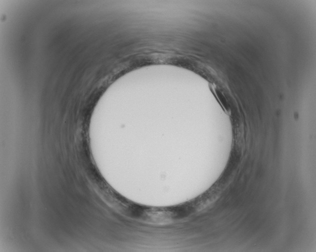 X0000086040221200704202019