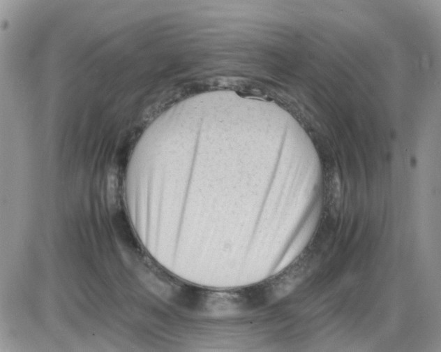 X0000086040222200704202019