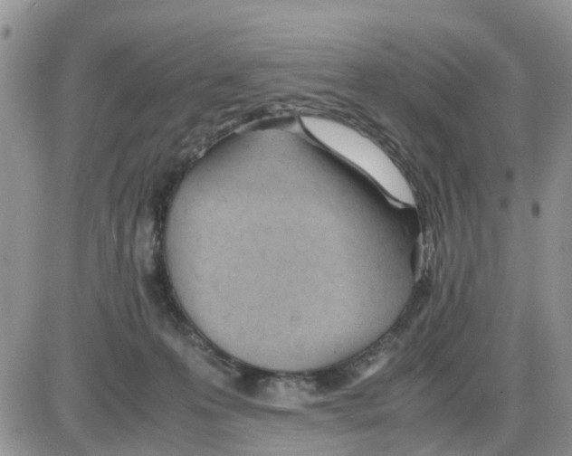 X0000086040223200704202019