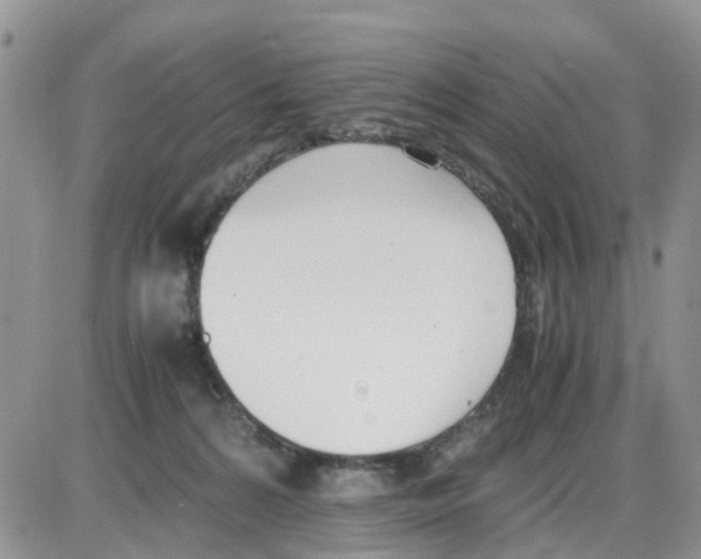 X0000086040224200704202019