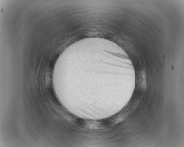 X0000086040226200704202019