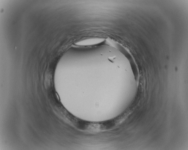 X0000086040227200704202019