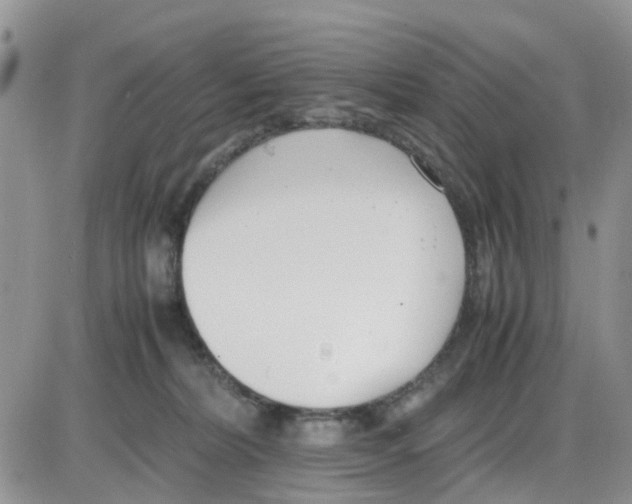 X0000086040228200704202019