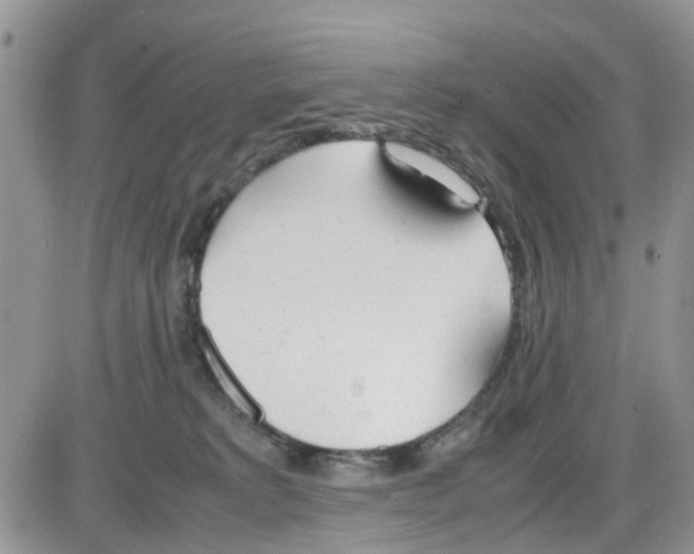 X0000086040229200704202019