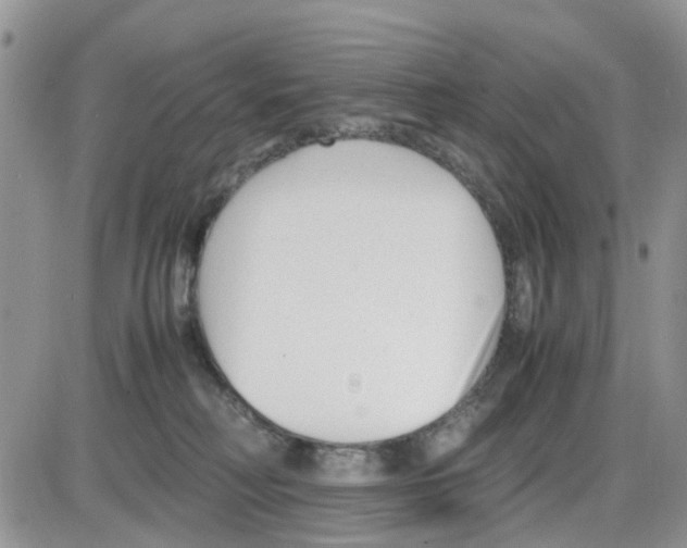 X0000086040230200704202019