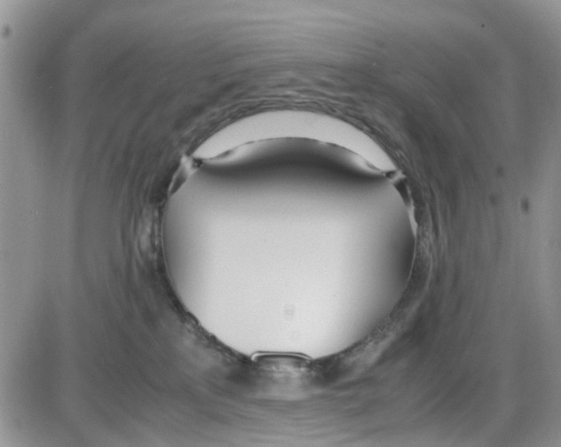 X0000086040233200704202019