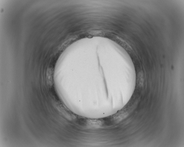 X0000086040234200704202019