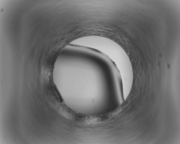 X0000086040235200704202019