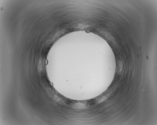 X0000086040236200704202019