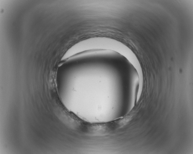 X0000086040237200704202019