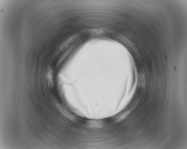 X0000086040238200704202019