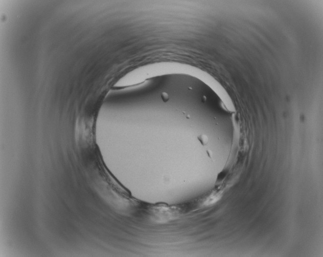 X0000086040239200704202019