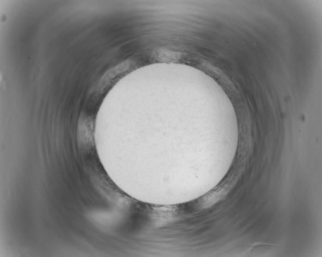 X0000086040240200704202019