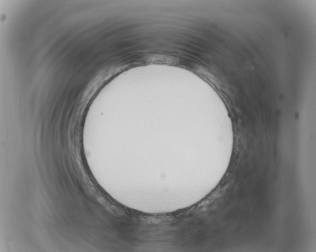 X0000086040241200704202018