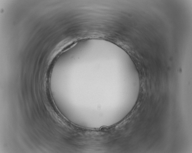 X0000086040242200704202018