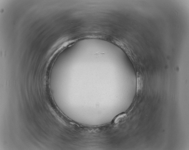 X0000086040243200704202018