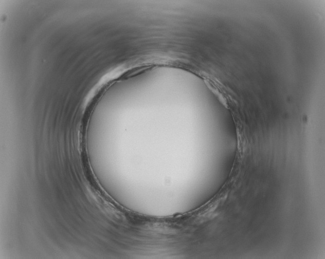 X0000086040244200704202018