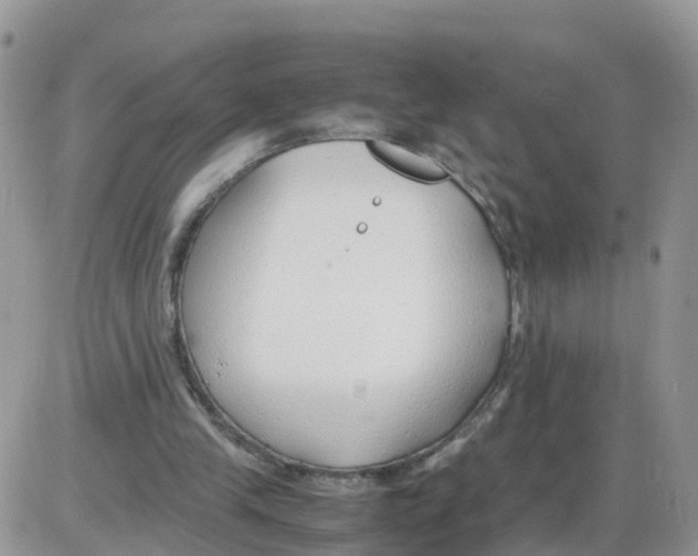 X0000086040245200704202018