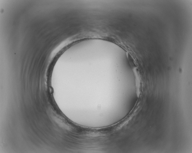 X0000086040246200704202018