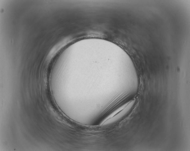 X0000086040247200704202018