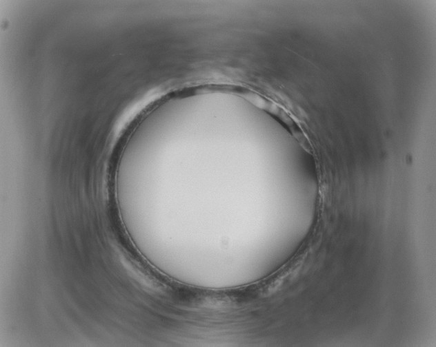 X0000086040248200704202018