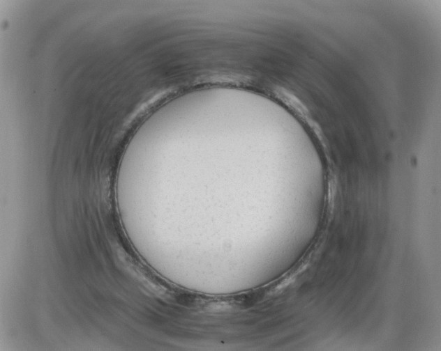 X0000086040249200704202018