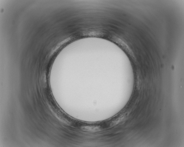 X0000086040251200704202018