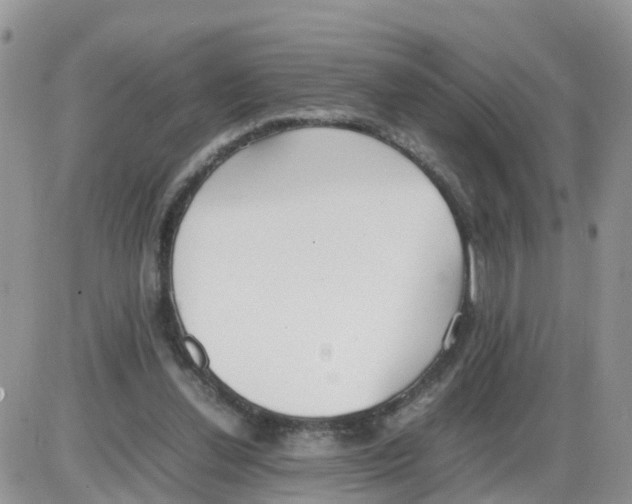 X0000086040252200704202018