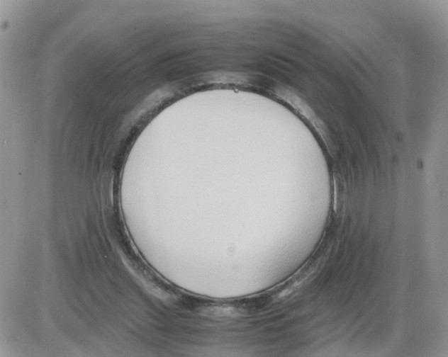 X0000086040253200704202018