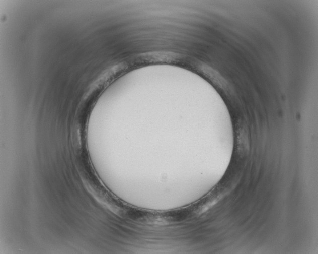 X0000086040254200704202018