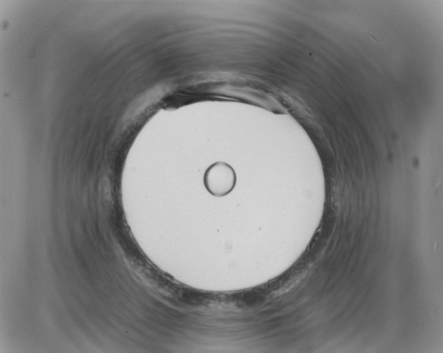 X0000086040256200704202018