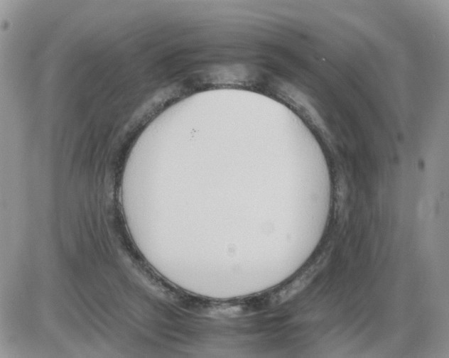 X0000086040257200704202018