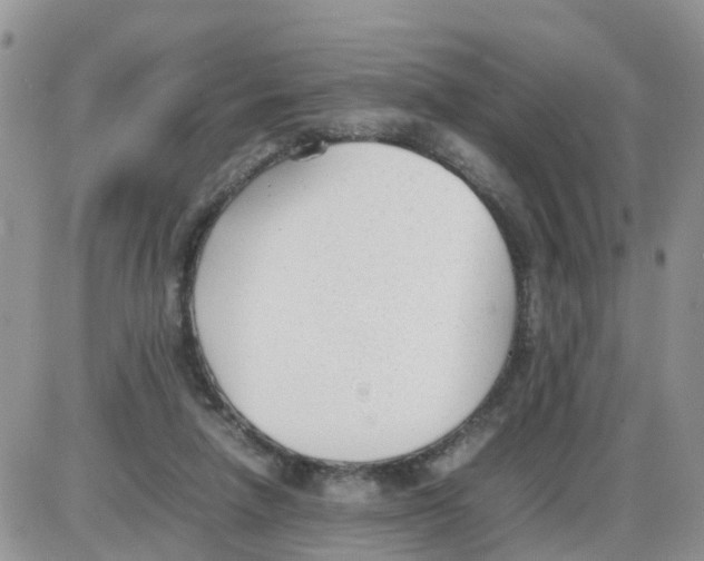 X0000086040258200704202018