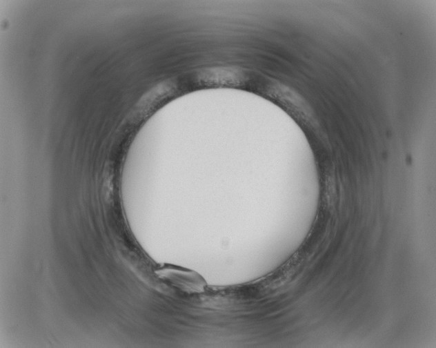 X0000086040259200704202018