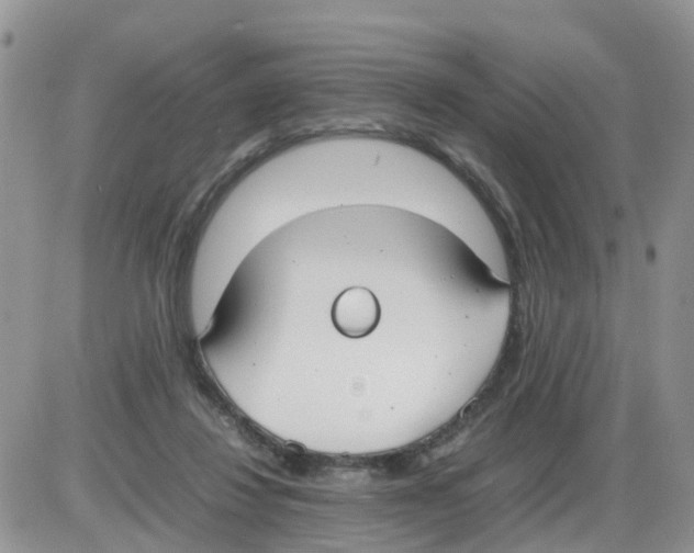 X0000086040260200704202018