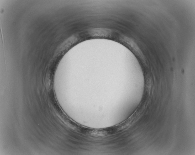 X0000086040261200704202018