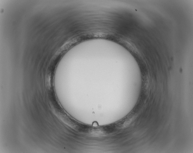 X0000086040262200704202018