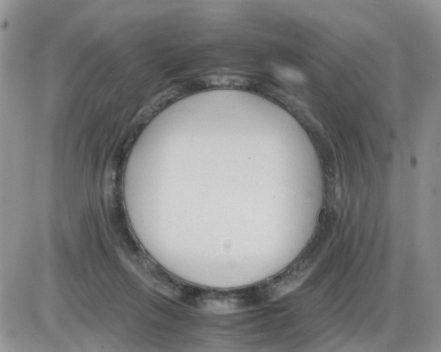 X0000086040263200704202018