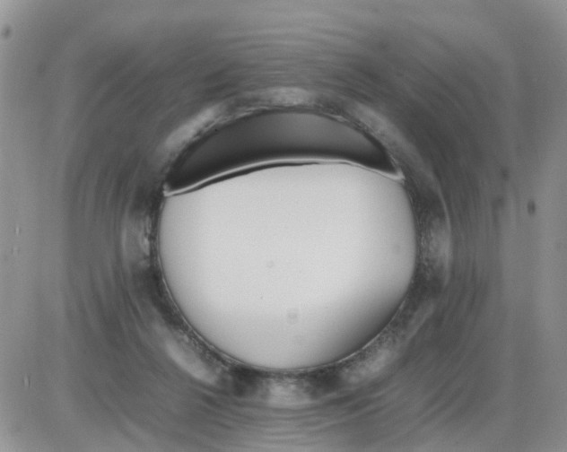 X0000086040264200704202018