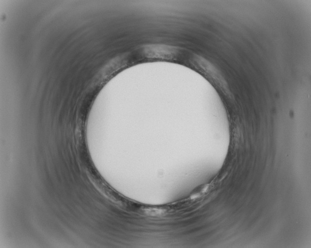 X0000086040265200704202018