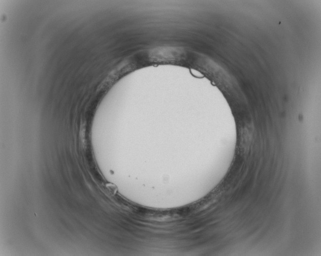 X0000086040267200704202018