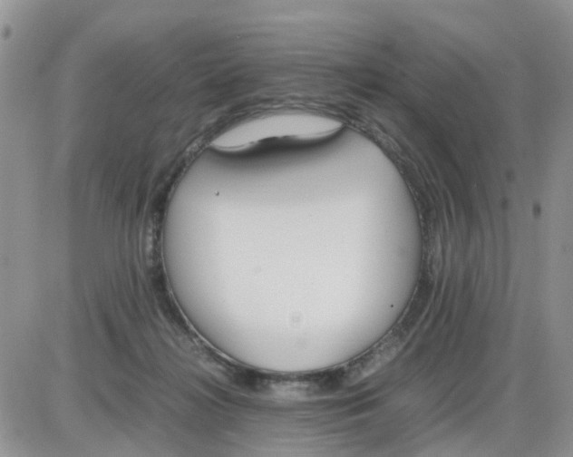 X0000086040268200704202018