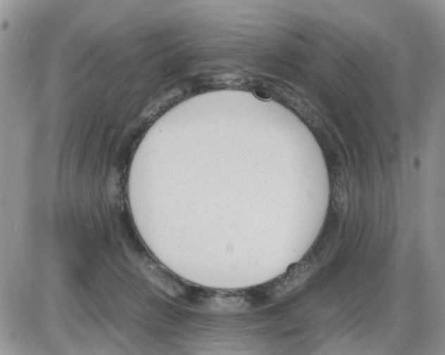 X0000086040270200704202018