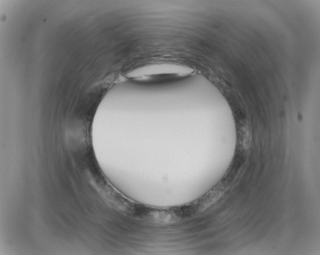 X0000086040272200704202018