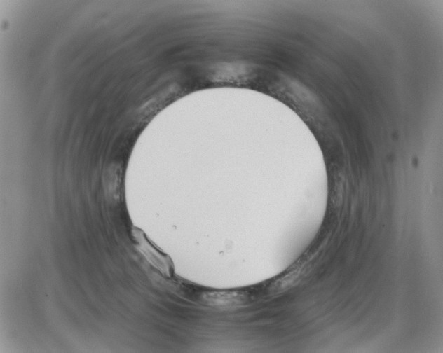 X0000086040273200704202018