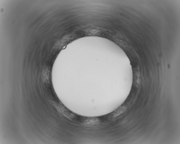 X0000086040274200704202018